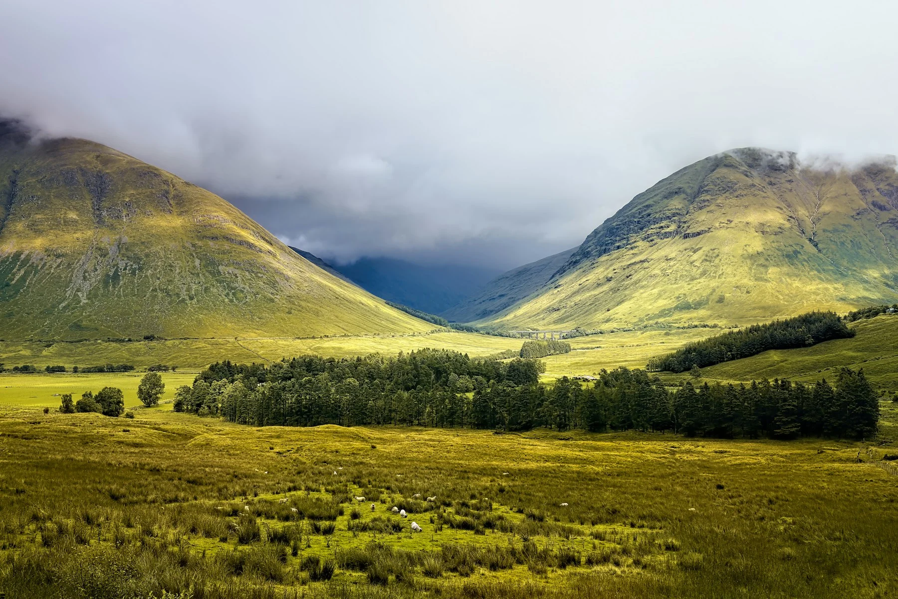 Green valley and wooded slopes in Glencoe, Scotland